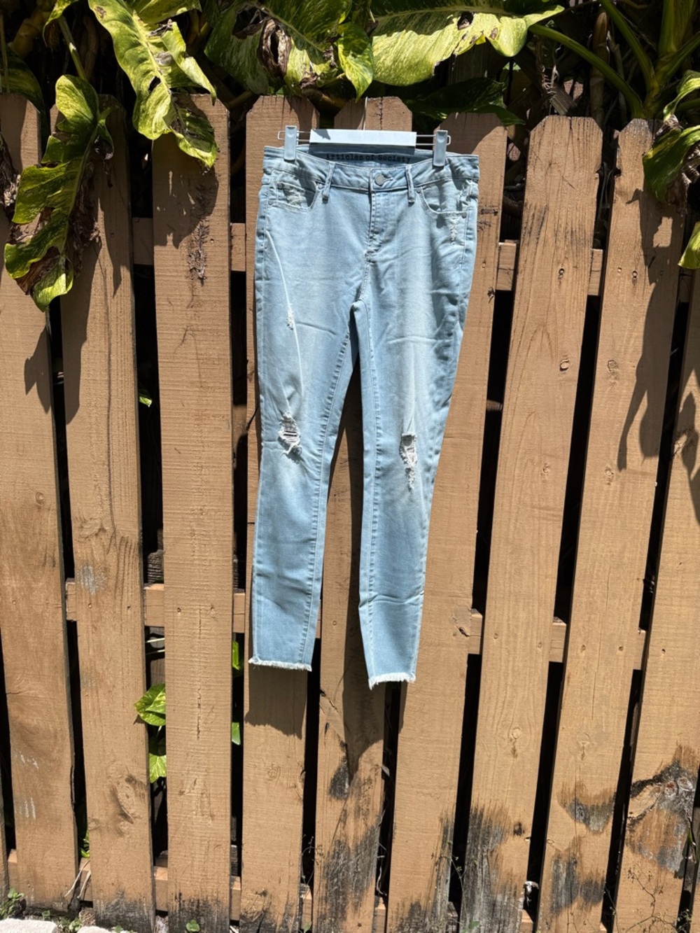 Articles Of Society Light Wash Skinny Jeans